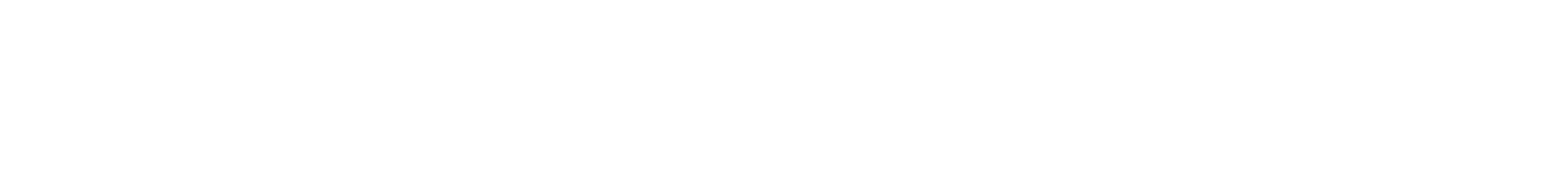 verslas academy